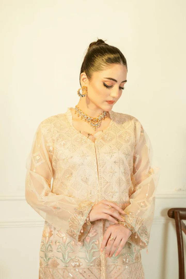2pcs (gown) - Insha wear