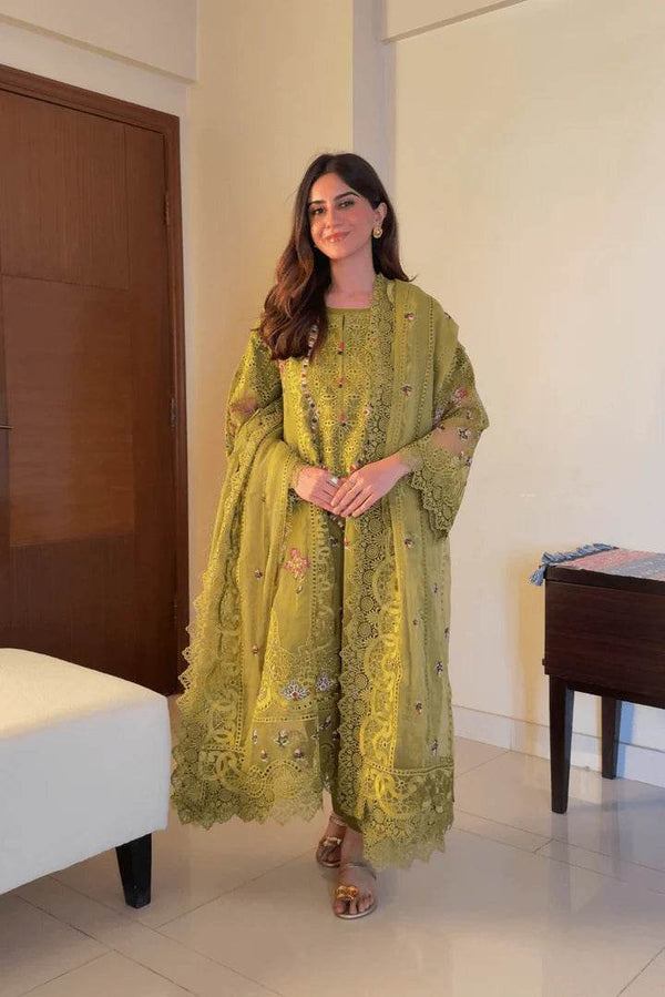3pcs organza (haseen) - Insha wear
